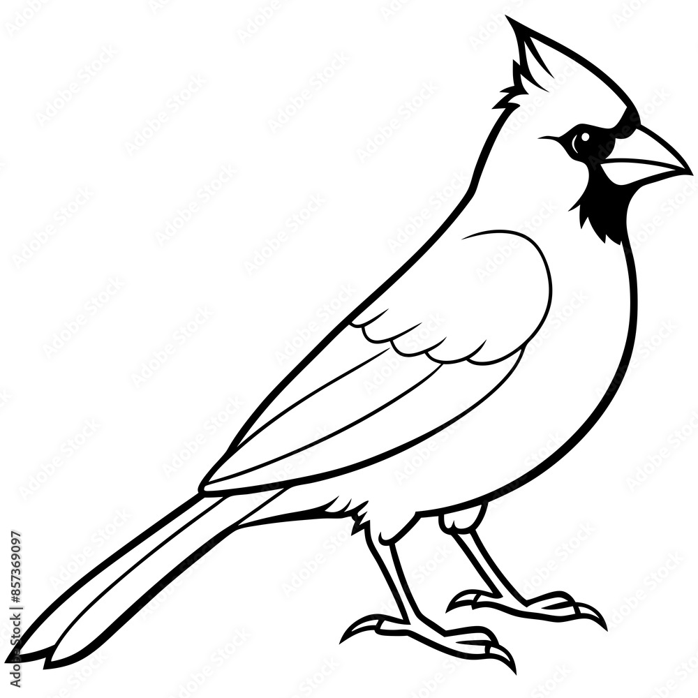 Obraz premium Cardinal line art vector illustration