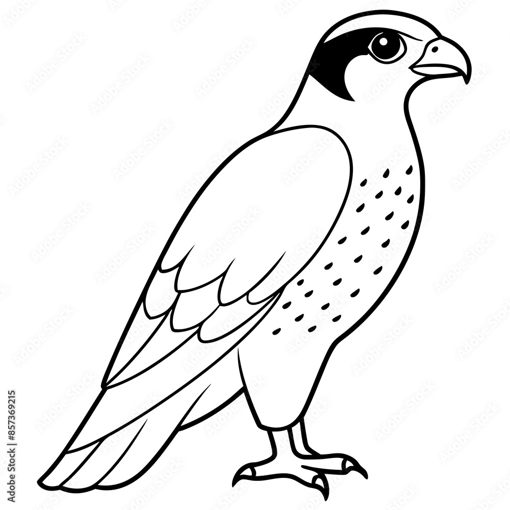 Peregrine Falcon line art vector illustration Peregrine Falcon line art vector illustration
