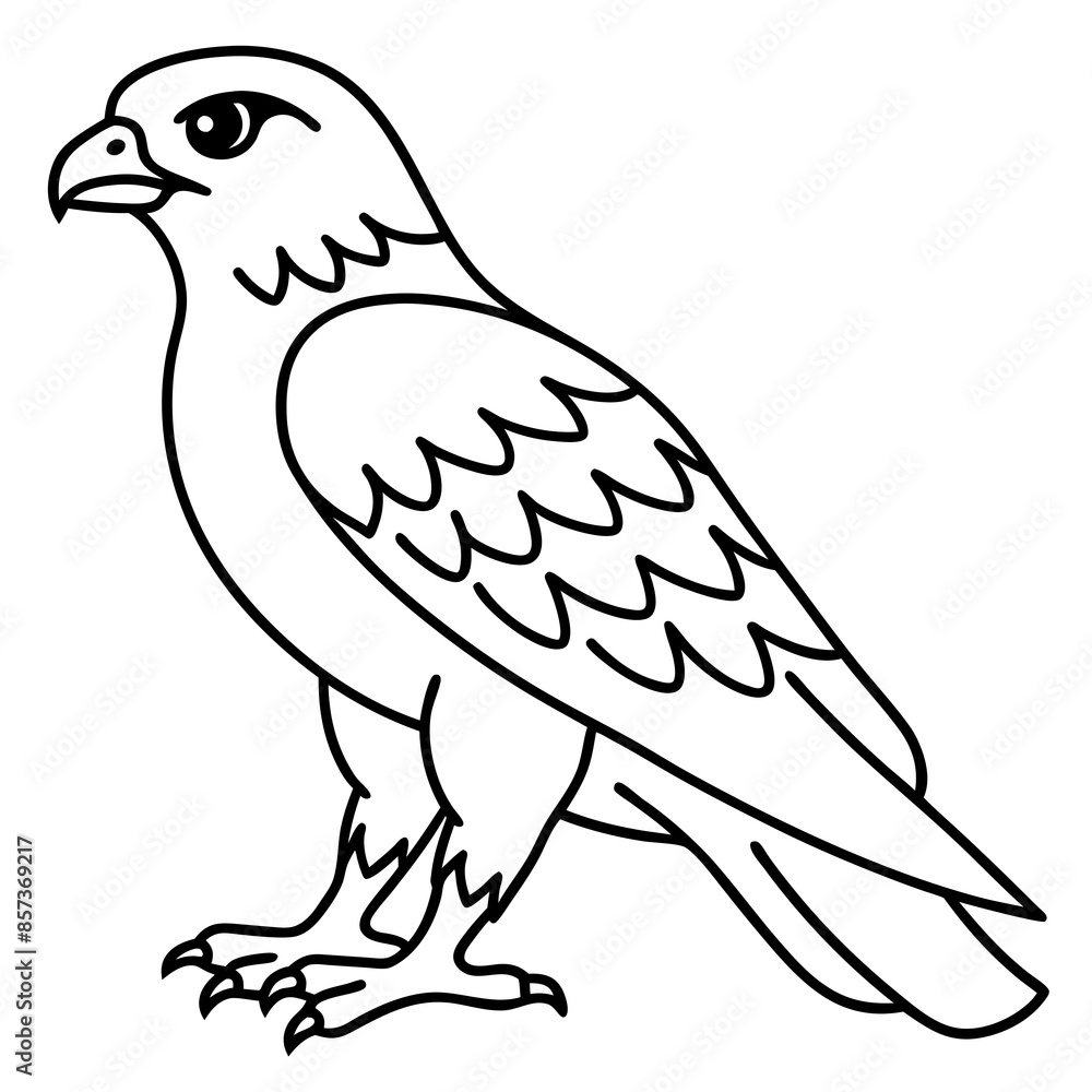 Peregrine Falcon line art vector illustration Peregrine Falcon line art vector illustration