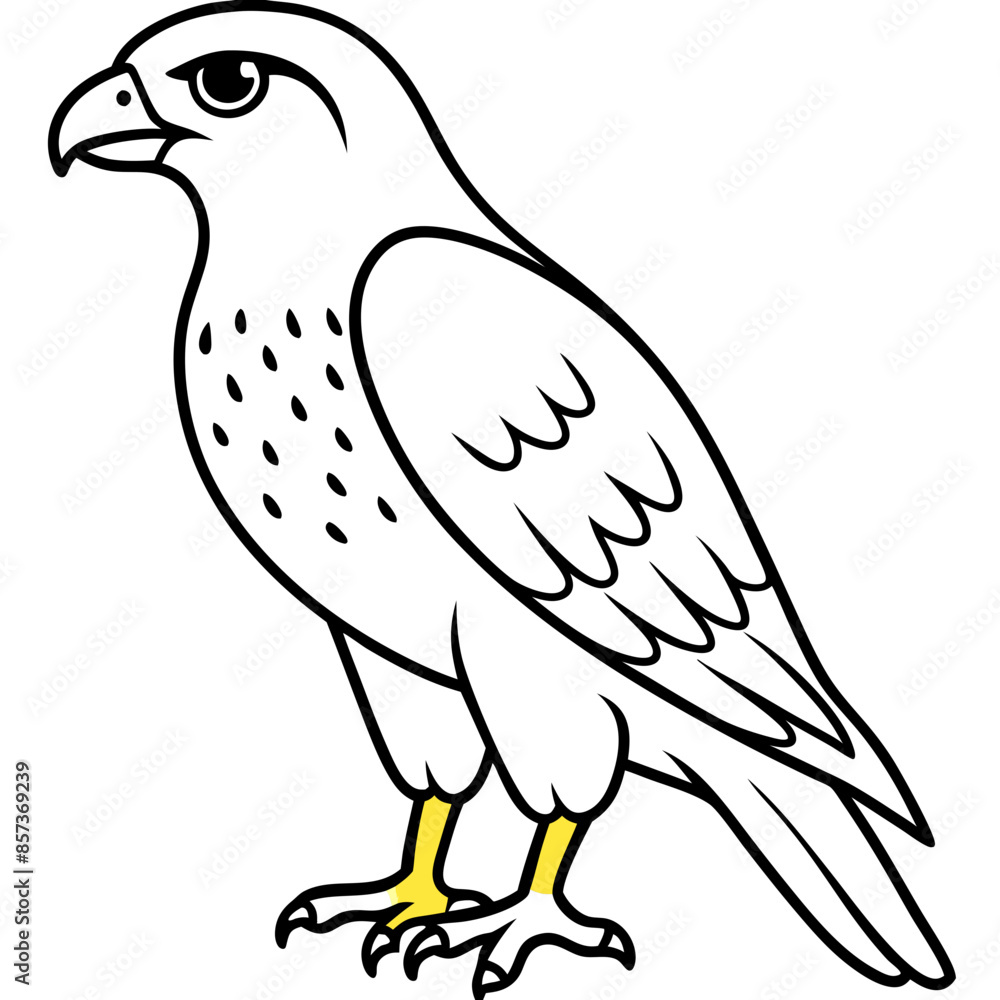 Fototapeta premium Red-tailed Hawk line art vector illustration