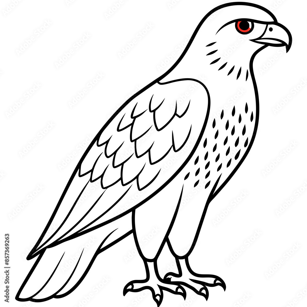 Obraz premium Red-tailed Hawk line art vector illustration