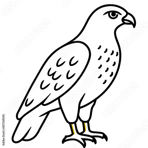 Red-tailed Hawk line art vector illustration