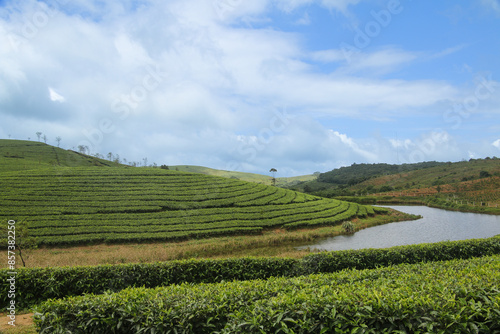 Wallpaper Mural Magnificent green landscape of the nature  with beautiful sky in the background   Torontodigital.ca