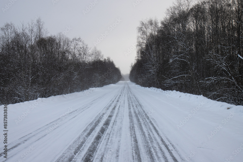 Obraz premium A snow-covered road through the forest and fields. Winter road through forests and fields.