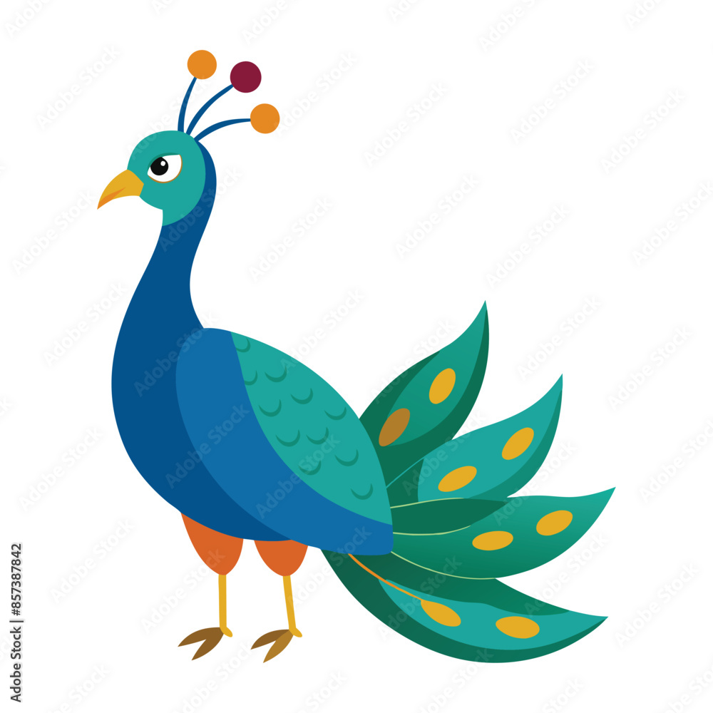 peacock with feathers peacock with feathers