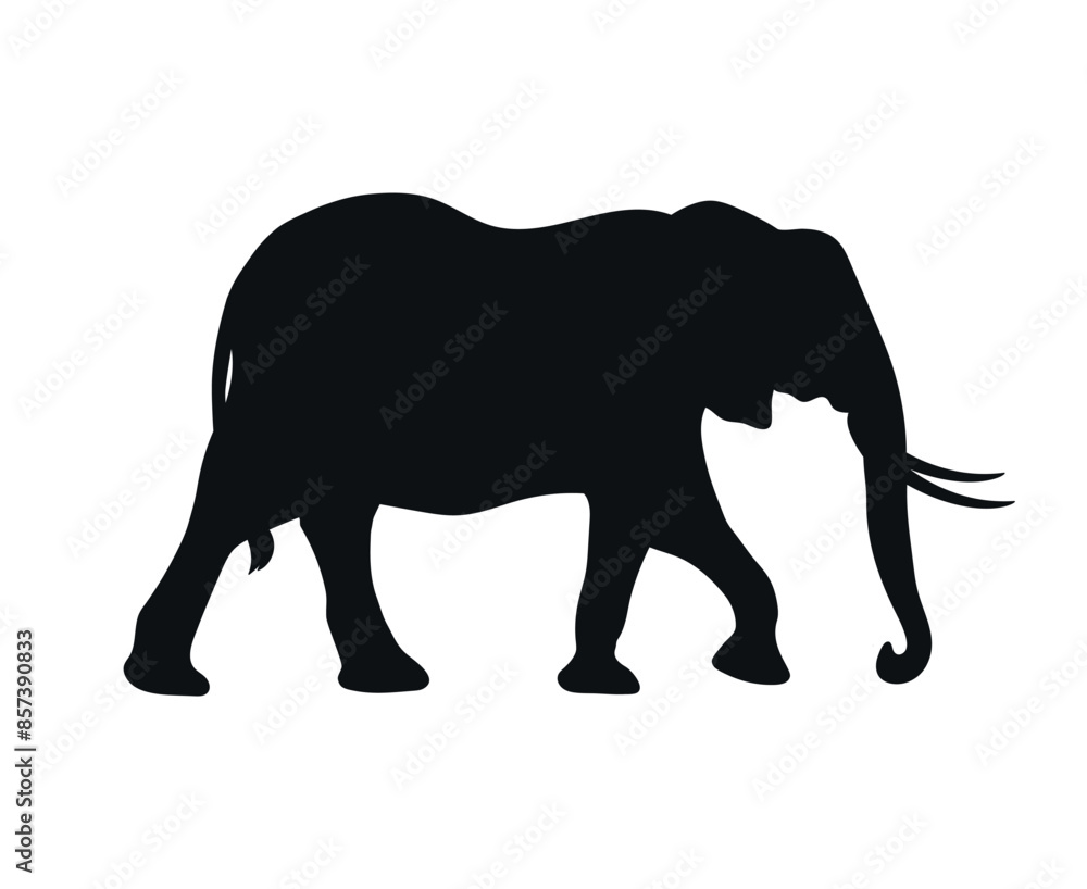 Walking elephant silhouette isolated on white background. Elephant shadow. Vector illustration Walking elephant silhouette isolated on white background. Elephant shadow. Vector illustration