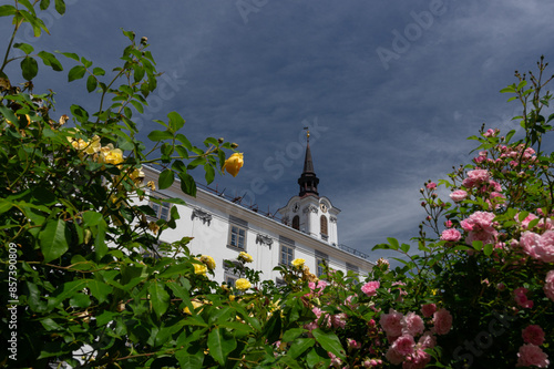 Castle Lysice framed with roses, Czech Republic