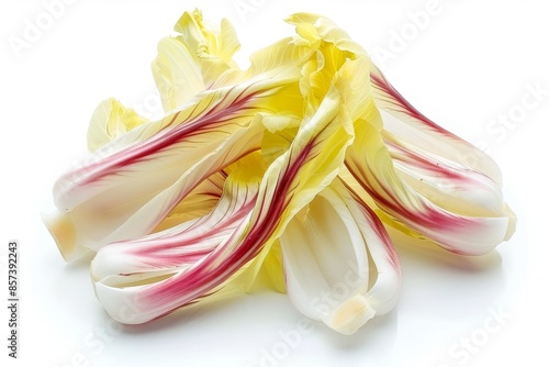 Curly endive salad on white background photo