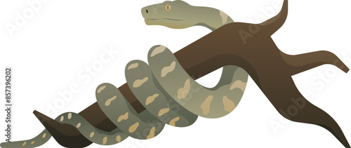 Color vector illustration of emerald tree boa. Wild reptile isolated on white background. Non venomous snake. Wildlife of South America. Tropical rainforest animal.