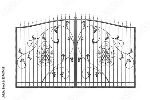 Iron gates with finishing.