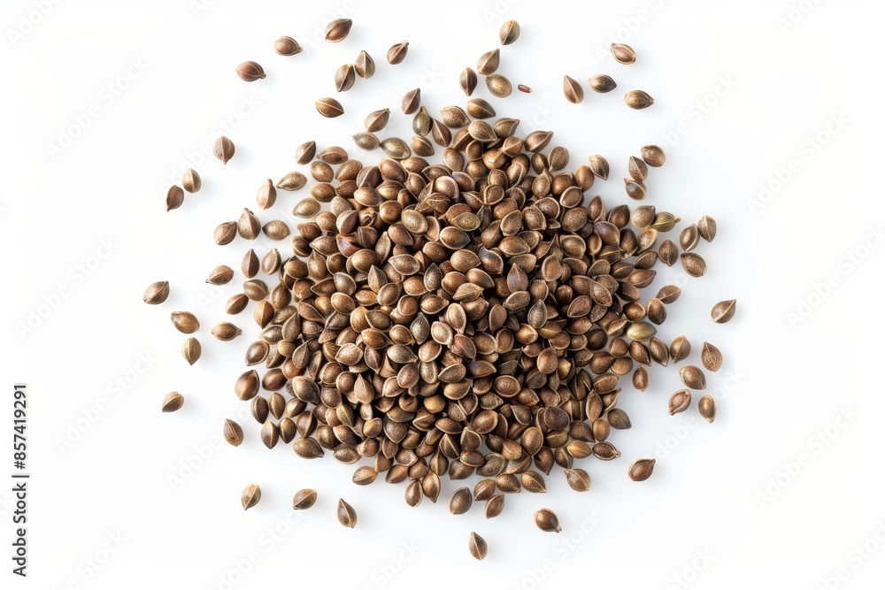hemp seed isolated top view hemp seed isolated top view