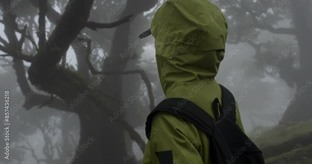 Woman in foggy Fanal Forest on Madeira island, Misty magical forest Fanal Woman in foggy Fanal Forest on Madeira island, Misty magical forest Fanal