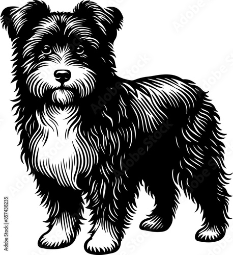 black and white engrave isolated dog, vector illustration on the white background