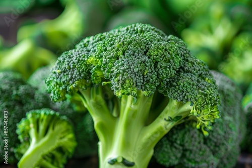 Wallpaper Mural Fresh Green Broccoli Close-up Torontodigital.ca