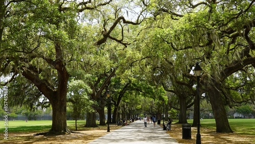 Photos Forsyth Park , Savannah Georgia