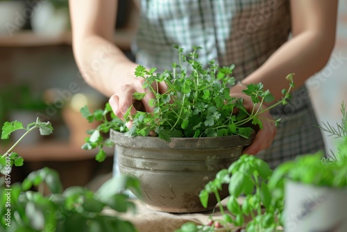 Woman indoors repotting plants