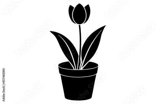 pot in flower vector silhouette illustration