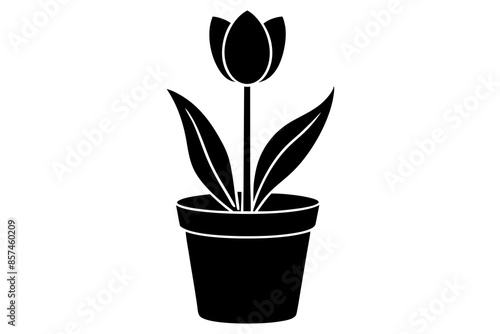 pot in flower vector silhouette illustration