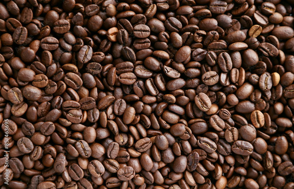 Roasted Arabica coffee beans Roasted Arabica coffee beans
