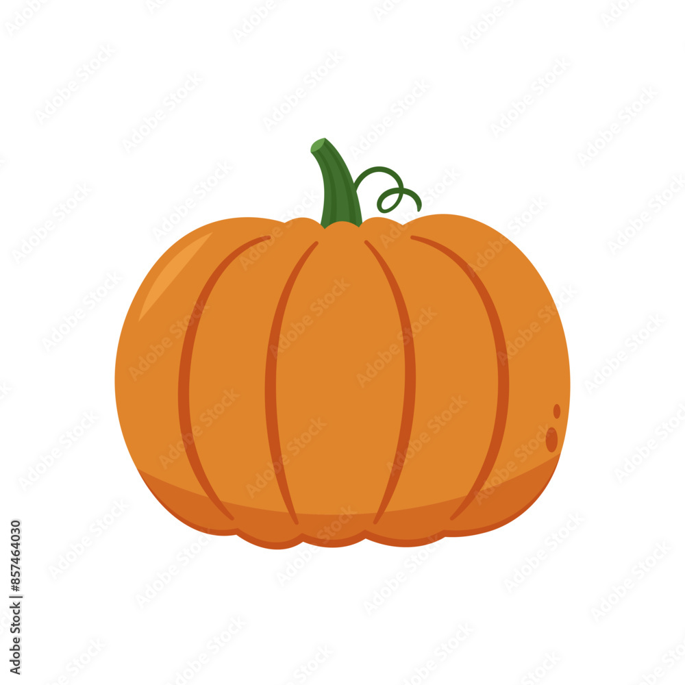 Pumpkin vector. Pumpkin on white background. Pumpkin vector. Pumpkin on white background.