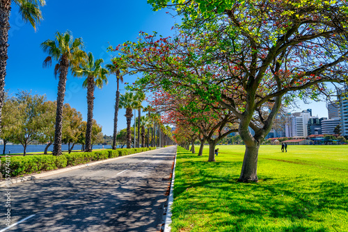 Langley Park and Perth Skyline on a beautiful sunny day photo