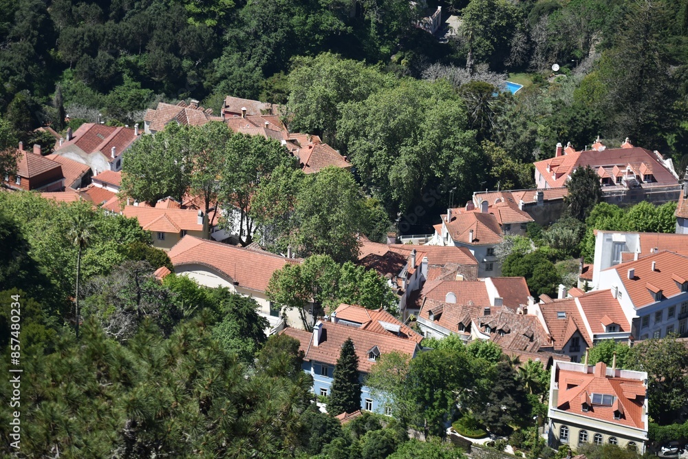 Obraz premium Panoramic view of Sintra town, Portugal, seen from the Moorish Castle.