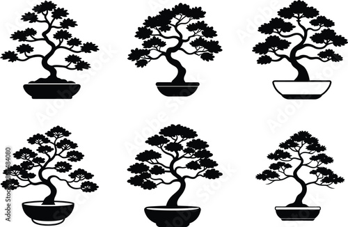 Elegant Bonsai Plant Design set