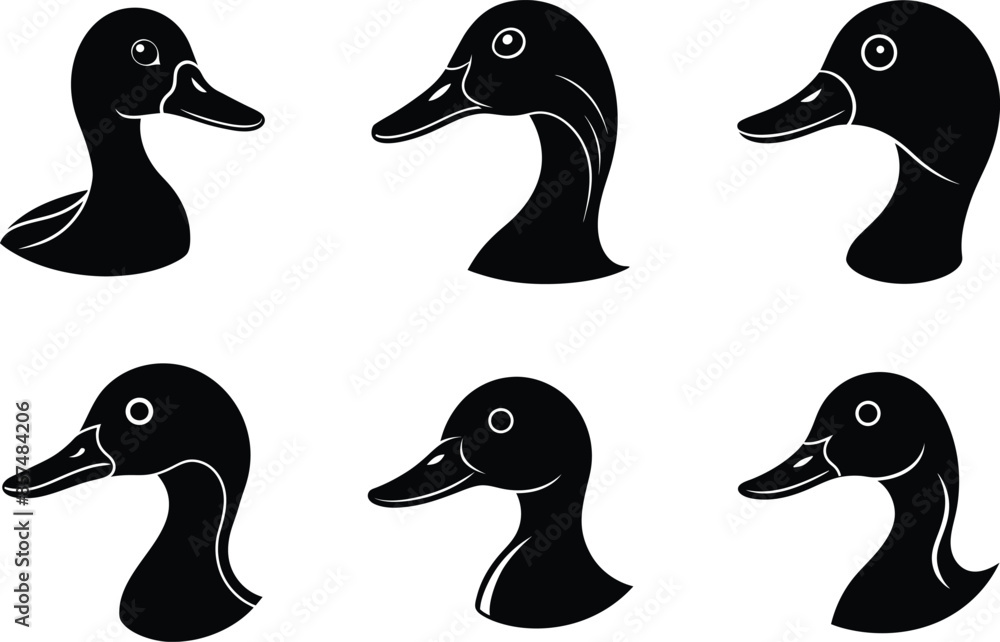 Obraz premium set of funny Ducks