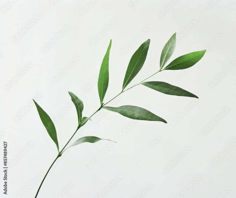 Obraz premium Simplistic Abstract Background with Green Branch