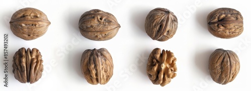 Collection of Pistach Nuts: A Close-up Study of Shell and Nut Variety photo