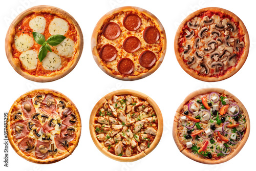 set of different types of pizza: Margherita, salami, mushroom, prosciutto e funghi, chicken, veggie