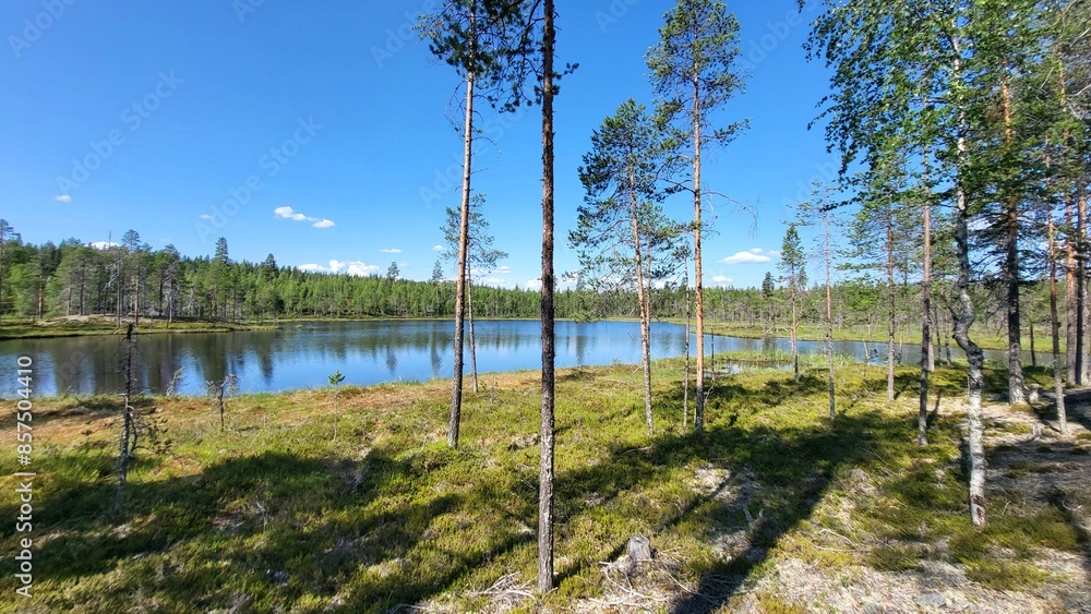 Obraz premium Nature of Sweden