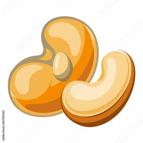 Cashew nuts, whole and halved, showing their smooth, kidney-shaped forms and creamy texture.