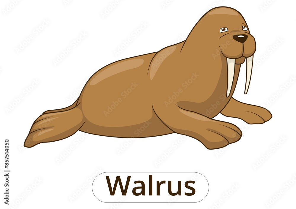 Walrus cartoon colorful funny hand drawn PNG illustration Walrus cartoon colorful funny hand drawn PNG illustration