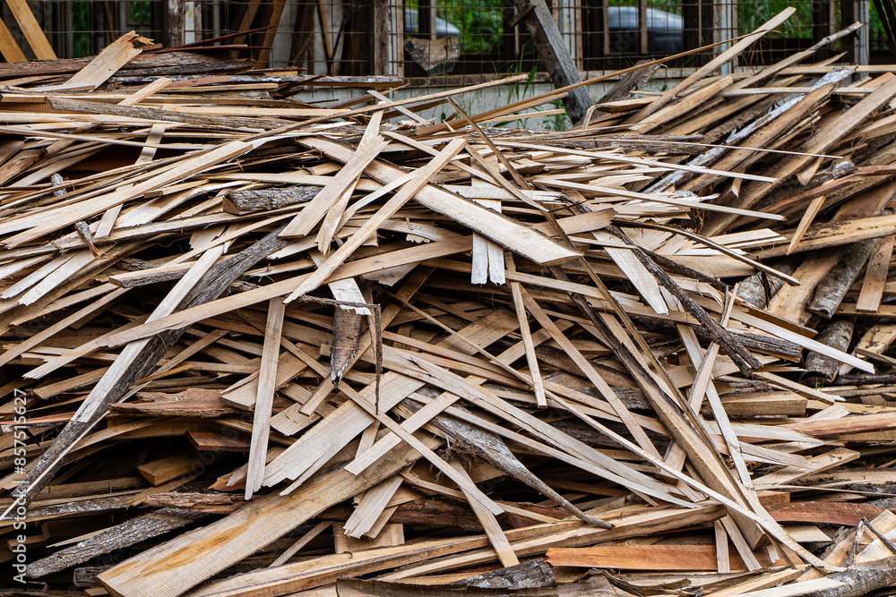 View of a sawmill with legal and illegal wood and firewood View of a sawmill with legal and illegal wood and firewood