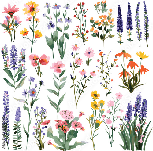 Watercolor wildflowers and leaves illustration set,,Beautiful floral set with watercolor hand drawn,Stock illustration,wild plants, flowers. Garden, meadow,