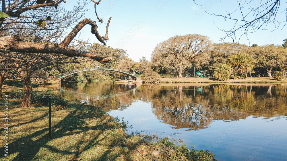 Obraz premium Ibirapuera Park on a beautiful day. Urban park.