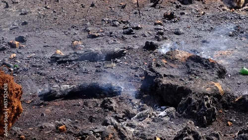 Wallpaper Mural Forest fire and extinguishing efforts Torontodigital.ca