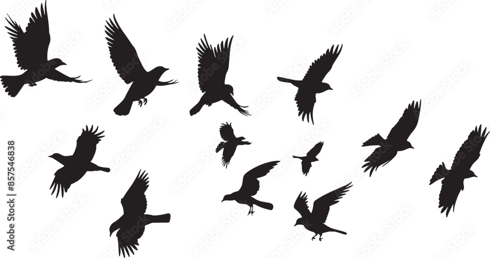 Obraz premium Silhouette Collection of Hummingbirds in Various Poses