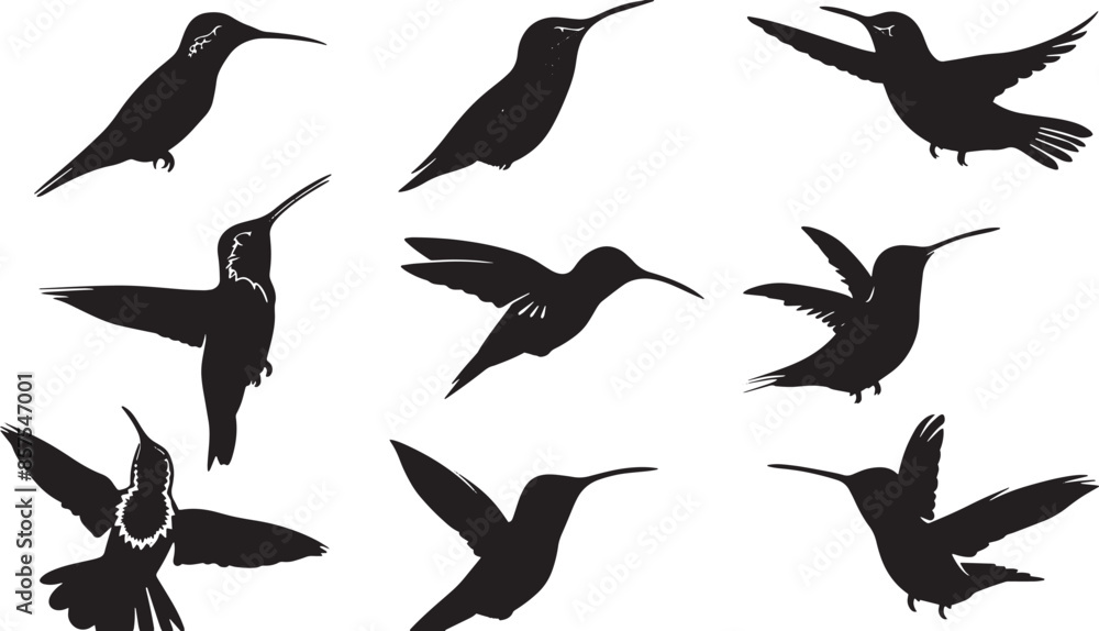 Obraz premium Silhouette Collection of Hummingbirds in Various Poses