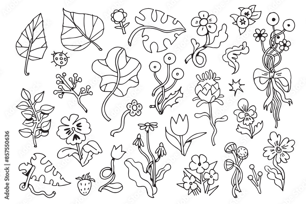 Fototapeta premium Ornamental flowers. Cartoon linear drawing. Isolated on white background. Set. Vector illustration