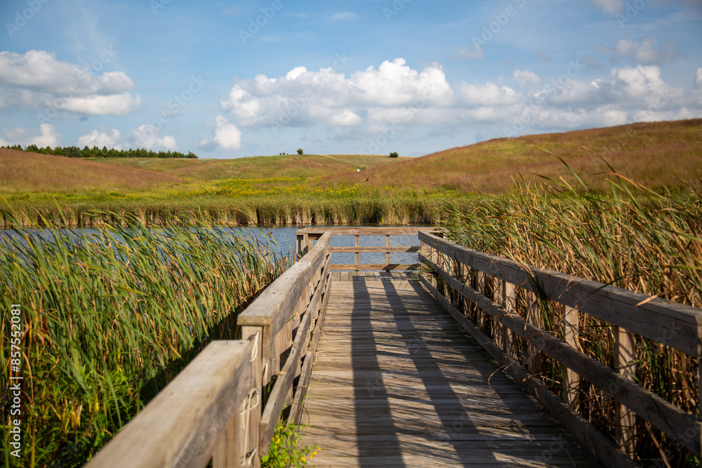 Floating Wooden Pier Dock Marshy Lake Water Wetlands Cattail Reeds Blue Sky Shadows Barn Swallow Birds at End of Dock Floating Wooden Pier Dock Marshy Lake Water Wetlands Cattail Reeds Blue Sky Shadows Barn Swallow Birds at End of Dock