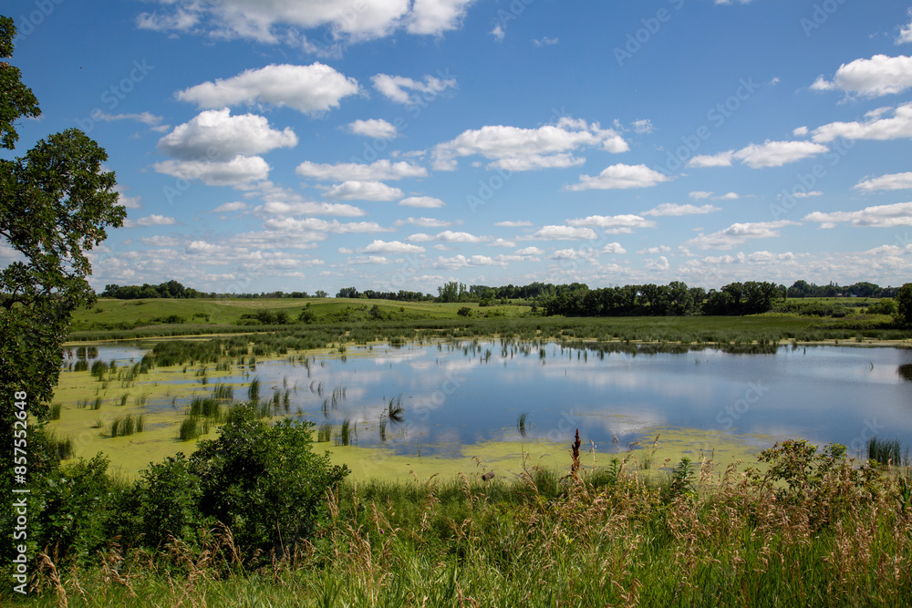 Beautiful Swamp Slough with Tall Cattail Reeds and Blue Water – Serene Wetland Landscape and Tranquil Marsh with Lush Vegetation and Aquatic Plants Beautiful Swamp Slough with Tall Cattail Reeds and Blue Water – Serene Wetland Landscape and Tranquil Marsh with Lush Vegetation and Aquatic Plants