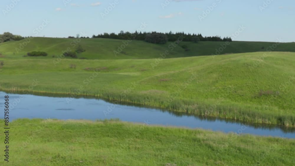 Scenic Video of a Beautiful Swamp Slough with Tall Cattail Reeds and Blue Water – Serene Wetland Landscape and Tranquil Marsh with Lush Vegetation and Aquatic Plants Scenic Video of a Beautiful Swamp Slough with Tall Cattail Reeds and Blue Water – Serene Wetland Landscape and Tranquil Marsh with Lush Vegetation and Aquatic Plants