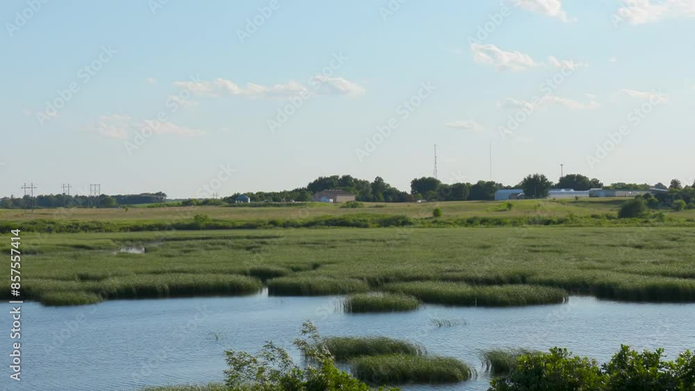 Scenic Video of a Beautiful Swamp Slough with Tall Cattail Reeds and Blue Water – Serene Wetland Landscape and Tranquil Marsh with Lush Vegetation and Aquatic Plants Scenic Video of a Beautiful Swamp Slough with Tall Cattail Reeds and Blue Water – Serene Wetland Landscape and Tranquil Marsh with Lush Vegetation and Aquatic Plants