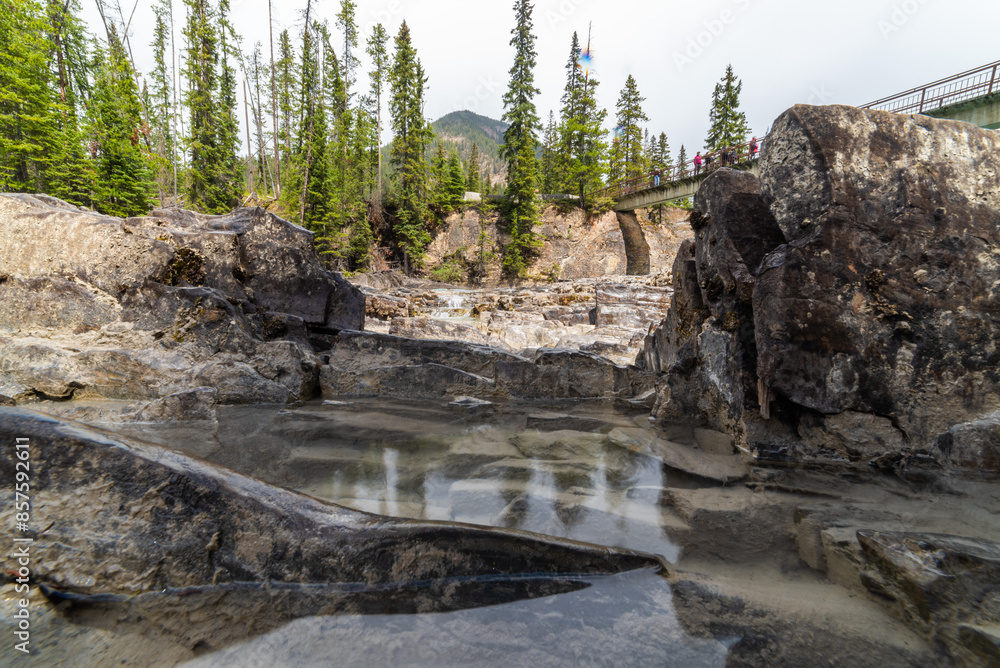 Greyscale Reflections On A Spring Day