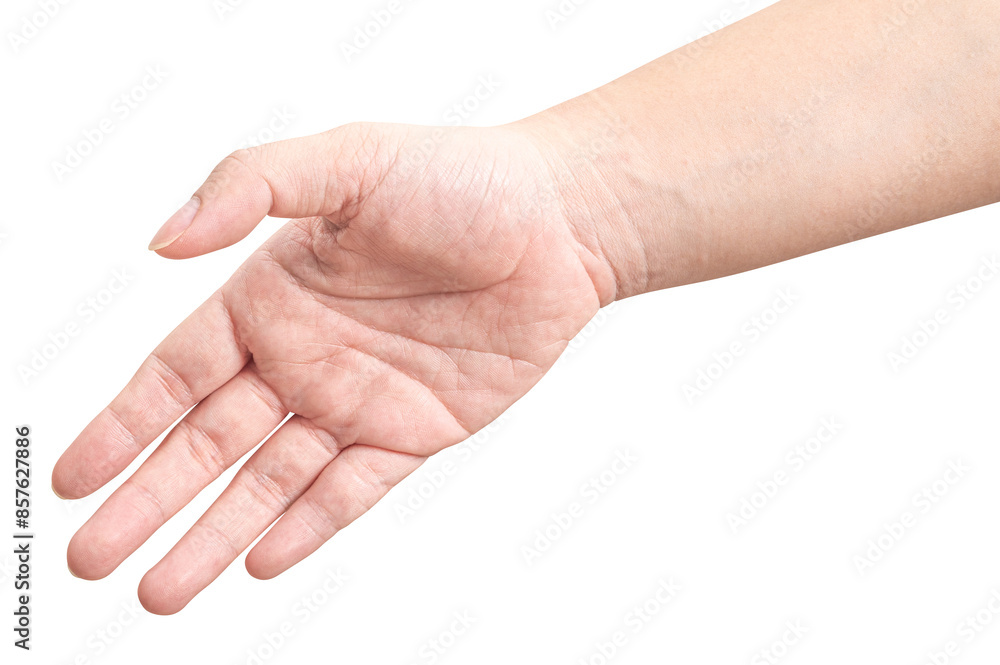 Male hand reach and ready to help or receive. Gesture isolated on white background. Male hand reach and ready to help or receive. Gesture isolated on white background.