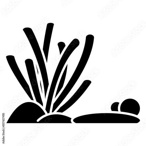 seaweed