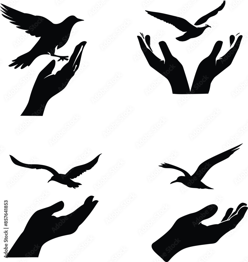 Obraz premium Silhouette of hands releasing a bird, symbolizing freedom and care, bird, vector