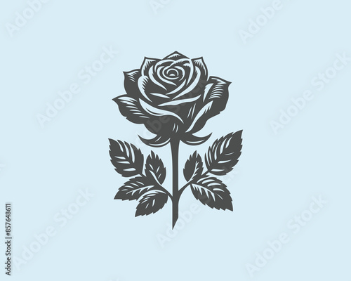 rose flower silhouette shape design 